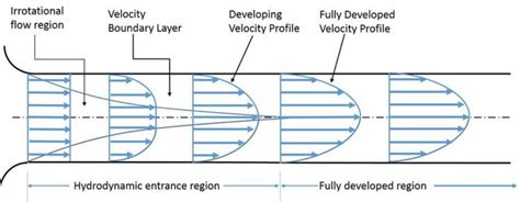 Profile of the Region .